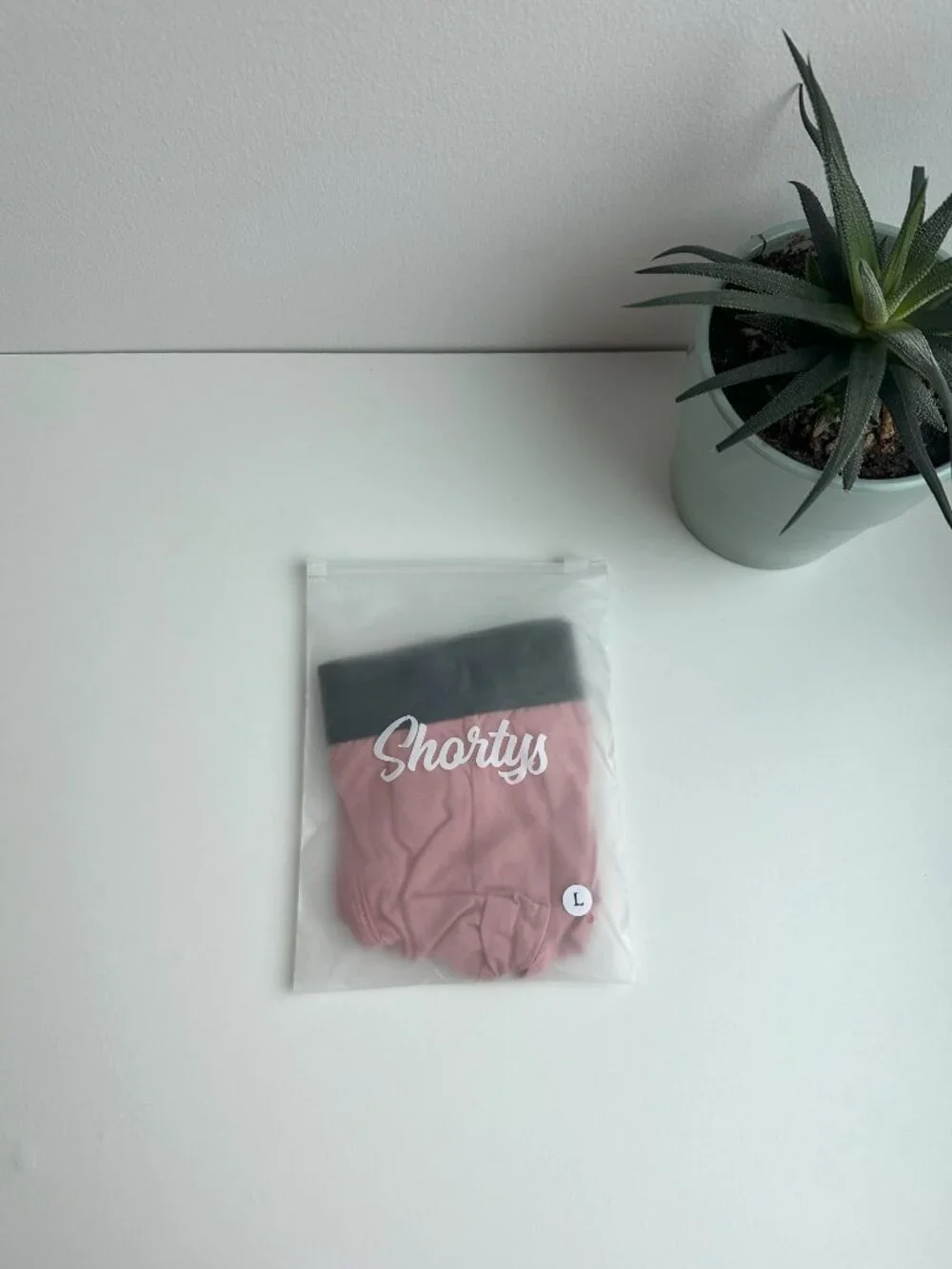 Shorty's Menswear - Hammock Brief - Pink (L)